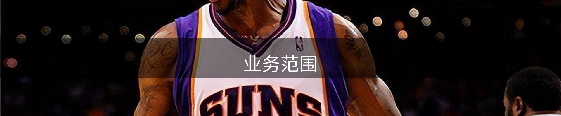 业务范围