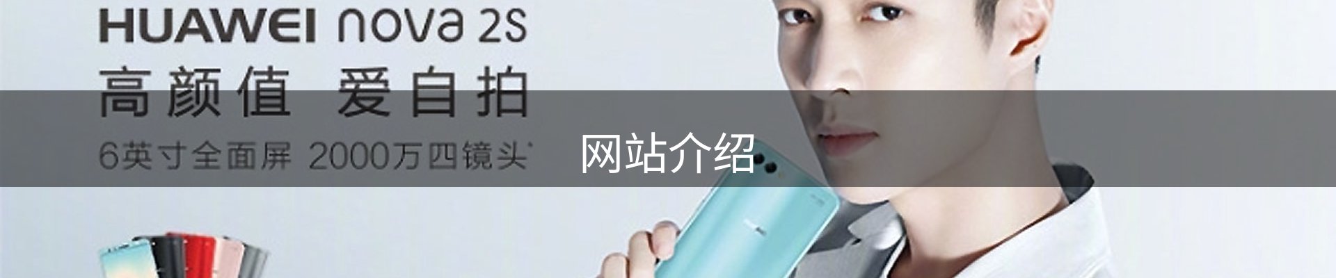 网站介绍